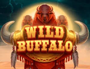 wild buffalo